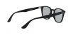 RB4258F Sunglasses