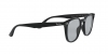 RB4258F Sunglasses