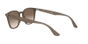 RB4258F Sunglasses