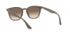 RB4258F Sunglasses