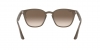 RB4258F Sunglasses