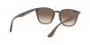 RB4258F Sunglasses