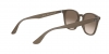 RB4258F Sunglasses