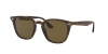 RB4258F Sunglasses