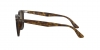 RB4258F Sunglasses