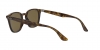 RB4258F Sunglasses