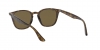 RB4258F Sunglasses