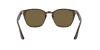 RB4258F Sunglasses