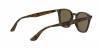 RB4258F Sunglasses
