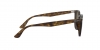 RB4258F Sunglasses
