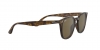 RB4258F Sunglasses