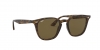 RB4258F Sunglasses