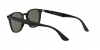 RB4258 Sunglasses