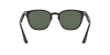 RB4258 Sunglasses
