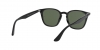 RB4258 Sunglasses