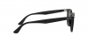 RB4258 Sunglasses