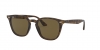 RB4258 Sunglasses