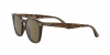 RB4258 Sunglasses