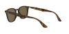 RB4258 Sunglasses