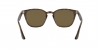 RB4258 Sunglasses