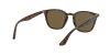 RB4258 Sunglasses
