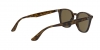 RB4258 Sunglasses