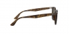 RB4258 Sunglasses