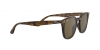 RB4258 Sunglasses