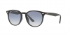 RB4259F Sunglasses