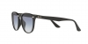 RB4259F Sunglasses
