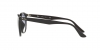 RB4259F Sunglasses