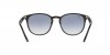 RB4259F Sunglasses