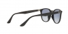 RB4259F Sunglasses