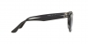 RB4259F Sunglasses