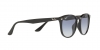 RB4259F Sunglasses
