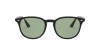 RB4259F Sunglasses