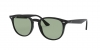 RB4259F Sunglasses
