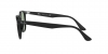 RB4259F Sunglasses