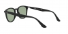 RB4259F Sunglasses