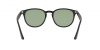 RB4259F Sunglasses