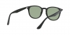 RB4259F Sunglasses