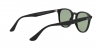 RB4259F Sunglasses