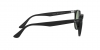 RB4259F Sunglasses