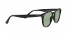RB4259F Sunglasses