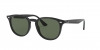 RB4259F Sunglasses