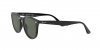 RB4259F Sunglasses