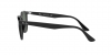 RB4259F Sunglasses