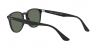 RB4259F Sunglasses