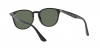 RB4259F Sunglasses