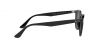 RB4259F Sunglasses